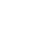 icon-visa